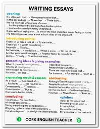 Examples of How to Write a   Paragraph Essay