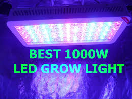 The 10 Best 1000 Watt Led Grow Lights Fullspectrum
