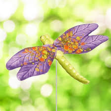Lavender Dragonfly Dragonflies