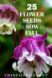 25 Annual And Perennial Flower Seeds To Sow In Fall