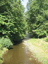 Plunketts Creek Loyalsock Creek Tributary Wikipedia