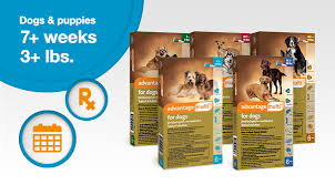 advantage multi for dogs vet approved