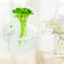 Zoiuytrg Hanging Flower Pot Glass Ball