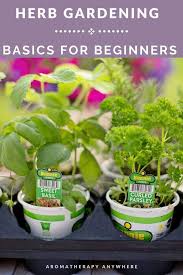Herb Gardening Basics For Beginners
