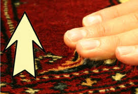 carpet care maintenance carpet