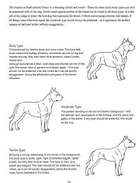 American Staffordshire Terrier Body Types American