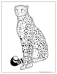 20 cheetah coloring pages free pdf