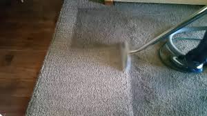 dirty carpets carpet cleaning tail