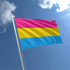 It has three colored horizontal bars of pink, yellow and blue. Pansexual Flag Pansexuality Flag For Sale The Flag Shop