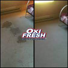 oxi fresh of st louis carpet cleaning