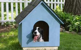 16 Cozy Diy Dog Houses For Your Dogs