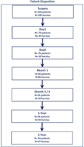 Study Flow Chart Schedule Of Patient Follow Up And Number