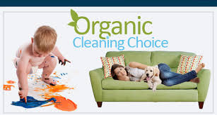 steam carpet cleaning stain removal