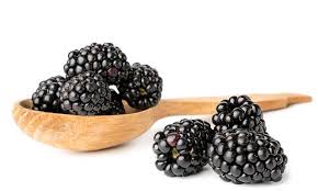 8 health benefits of blackberries and