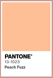what is the pantone color of the year