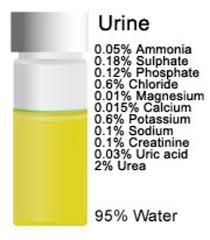 the power of or urine learn