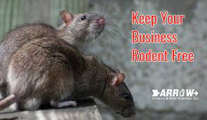 business and place of work rodent