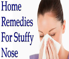 stuffy and runny noses causes