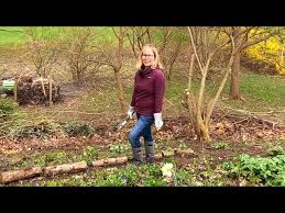 Creating A Rustic Woodland Garden Path