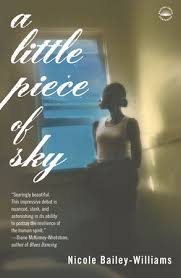 A Little Piece Of Sky By Nicole Bailey Williams Reading Guide 9780767912167 Penguinrandomhouse Com Books