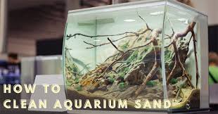 How To Clean Aquarium With Sand The