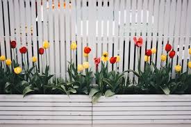The Best Colours For Garden Fences