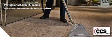 mississauga and area carpet cleaning