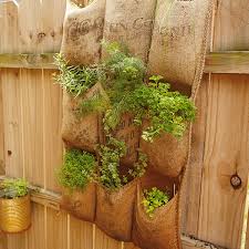 Diy Vertical Herb Garden Hallmark
