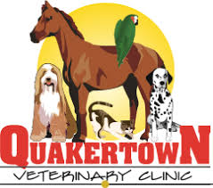 It is a good idea to check and see if there are any requirements you must fulfill before bringing your pet in. Pet Boarding Grooming Quakertown Veterinary Clinic