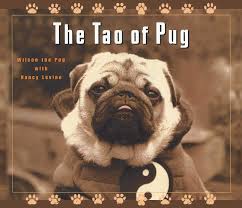 Pug's distinctive, bulging eyes expose a large area of their corneas, which puts their eyes. The Tao Of Pug Levine Nancy Wilson The Pug 9781510714410 Amazon Com Books