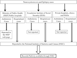 Neurocysticercosis And Epilepsy Reporting Flow Chart In The