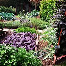 Backyard Vegetable Gardens