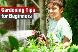 7 Beginner Gardening Tips For