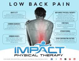 The human back contains various muscles, tendons, and ligaments. Low Back Pain Impact Physical Therapy