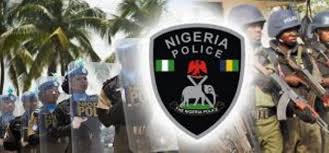 Nigerian Police Salary Structure 2019 New Increase By Buhari