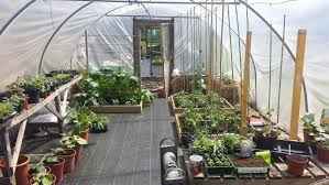 Square Foot Gardening In A Greenhouse