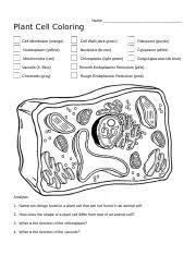 Students studying the cell membrane usually learn about osmosis and diffusion in the … investigation: Plant Cell Coloring Answer Key Lovely Biology Corner Plant Cell Coloring Sheet Of Plant Cell Colorin Plant Cell Coloring Name Cell Membrane Orange Course Hero