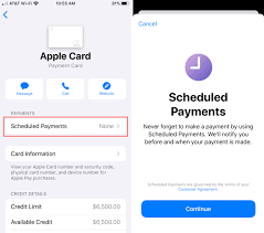 For accounts where your balance changes each month, such as a credit card, it's better to sign up for automatic payments directly through them, so they take the full amount owed. How To Schedule Automatic Payments For Your Apple Card