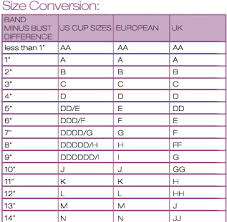 european bra sizes to us off 65