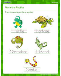 Name The Reptiles Printable Handwriting Worksheet Jumpstart