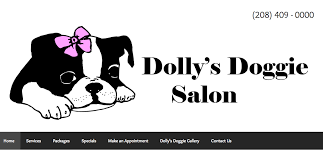 This is the home page for kittitas county public health. Dolly S Doggie Salon Web Design Boise