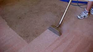 upholstery cleaning brazos cleaning
