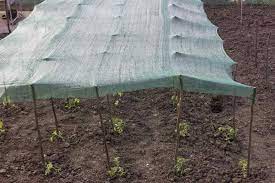 shade cloth for vegetable garden