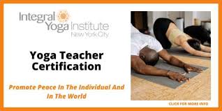 the 5 best yoga teacher training in nyc