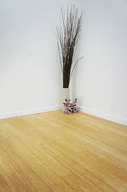 posts ged cleaning bamboo flooring