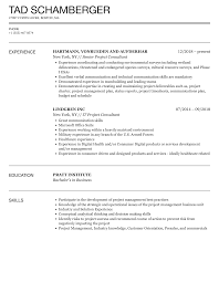 project consultant resume sles