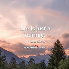 life is just a journey idles