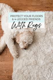 rugs protect floors pets coyle
