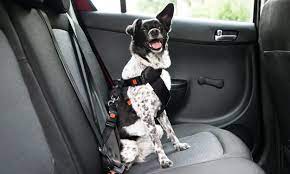 Dog Seat Belts For Pet Car Safety