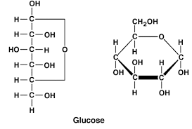 monosaccharides glucose fructose